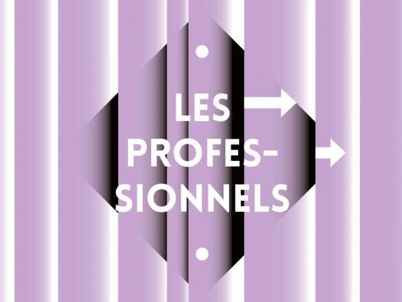 LES PROFESSIONNELS
