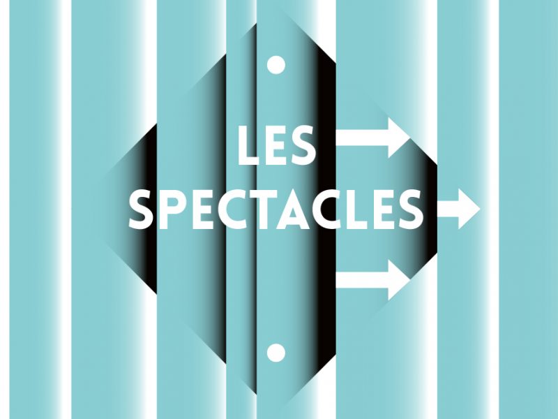 LES SPECTACLES