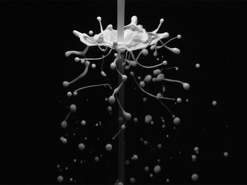 BLOOM