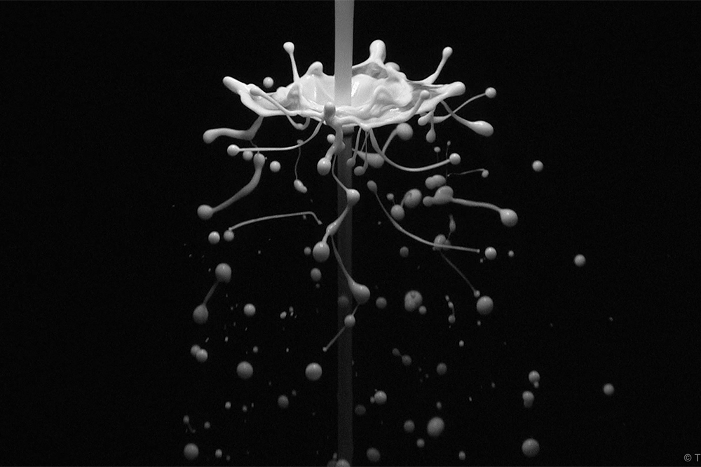 BLOOM