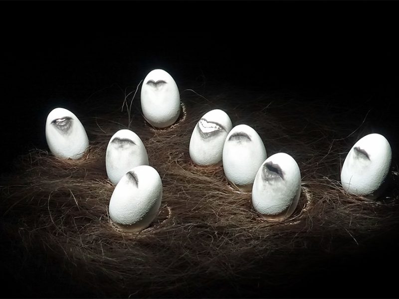 GALLINERO