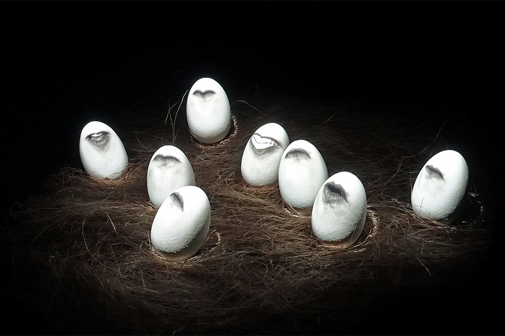 GALLINERO