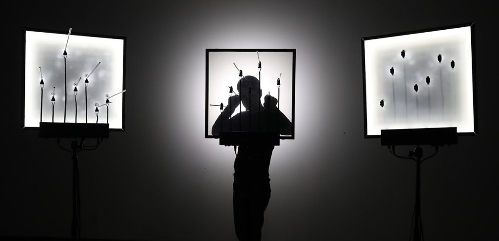 Echo-chamber - Martin messier