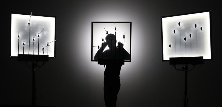 Echo-chamber - photo de Martin Messier - Concert de musique électro et Arts visuels