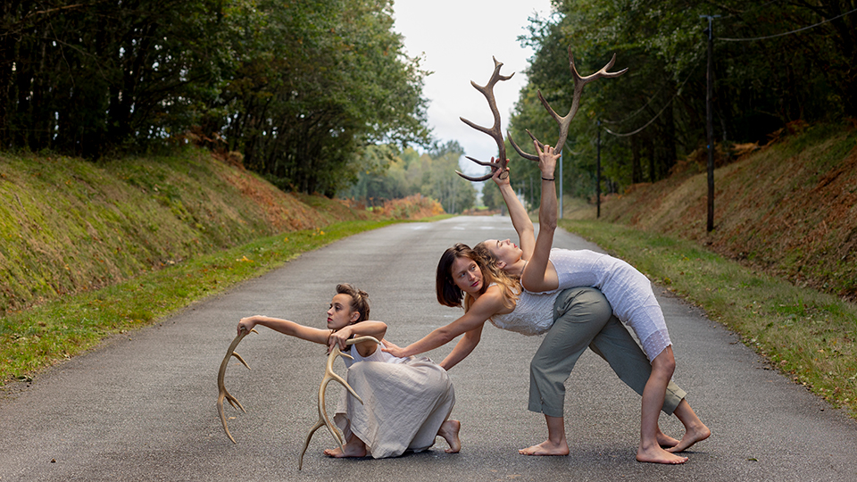 image 2 - Faune