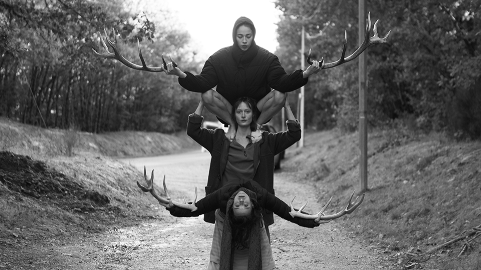 image 3 - Faune