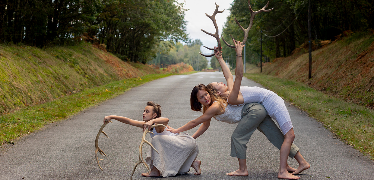 image - faune
