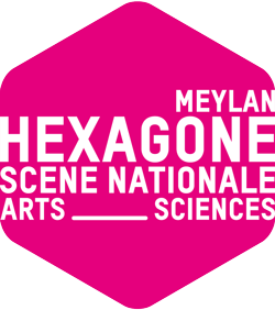 LOGO_HEXAGONE