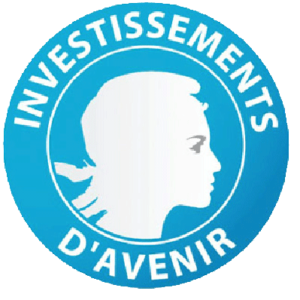 logo_INVESTISSEMENTS-AVENIR_Logo