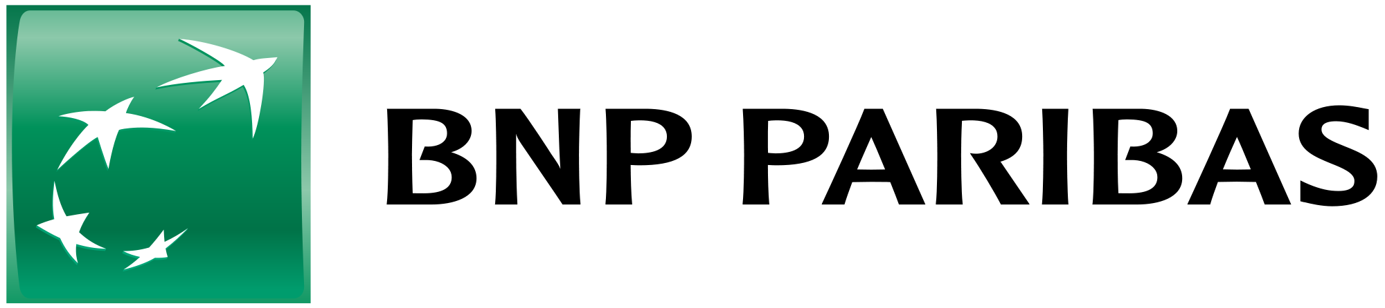 61,1 logo BNP